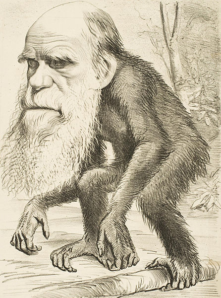 Editorial_cartoon_depicting_Charles_Darwin_as_an_ape_(1871)